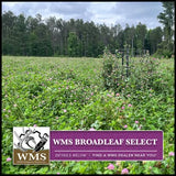 WMS Broadleaf Select, 50lb
