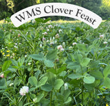 WMS Clover Feast