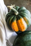 Squash, Butternut Waltham, 1/2 ounce Packet