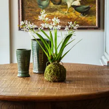 Farmhouse Stems & Planters