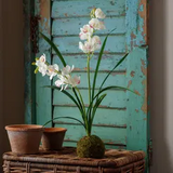 Farmhouse Stems & Planters