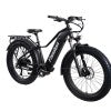 Fission FM 750X Electric Bike 48 Volt