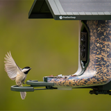 FeatherSnap Camera Solar Powered Bird Feeder