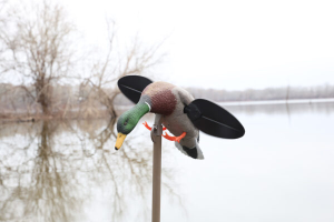 Mojo Mallard Lite Decoy