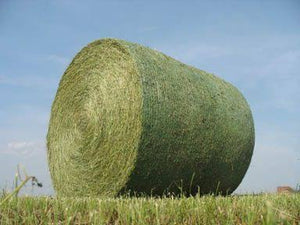 Tytan Plus 51” X 9840’ Green/White Bale Net Wrap