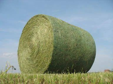 Tytan Plus 51” X 9840’ Green/White Bale Net Wrap