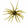 Spider Monkey 20mm Urchin Bait