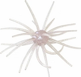 Spider Monkey 20mm Urchin Bait