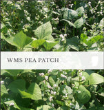 WMS Summer Pea Patch