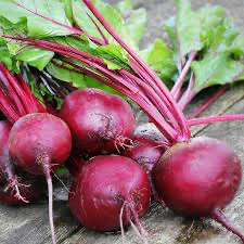 Beets, Early Wonder Crosby, 1/2oz