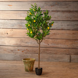 Farmhouse Stems & Planters