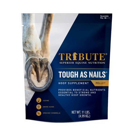 Tough as Nails, 11lb
