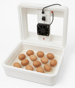 Little Giant Deluxe Digital Incubator w/ Fan Kit & Egg Turner