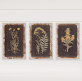 Wood Framed Signs &bPrints