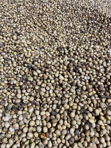 Roasted Soybeans, BULK