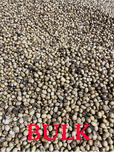 Roasted Soybeans, BULK