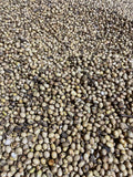 Roasted Soybeans, BULK