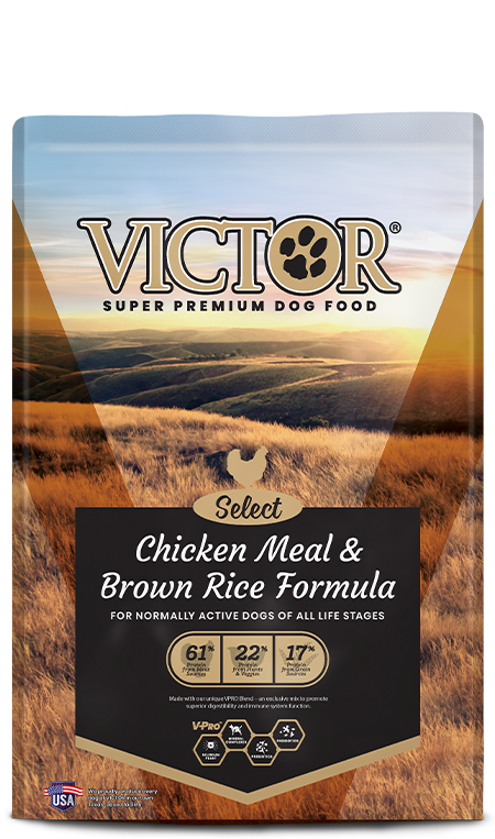 Victor Select Chicken Meal & Brown Rice Dog Food, 40lb