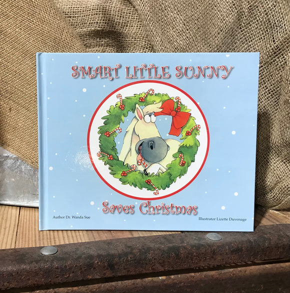 Smart Little Sunny Saves Christmas