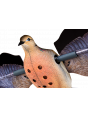Avian X Powerflight Dove Decoy