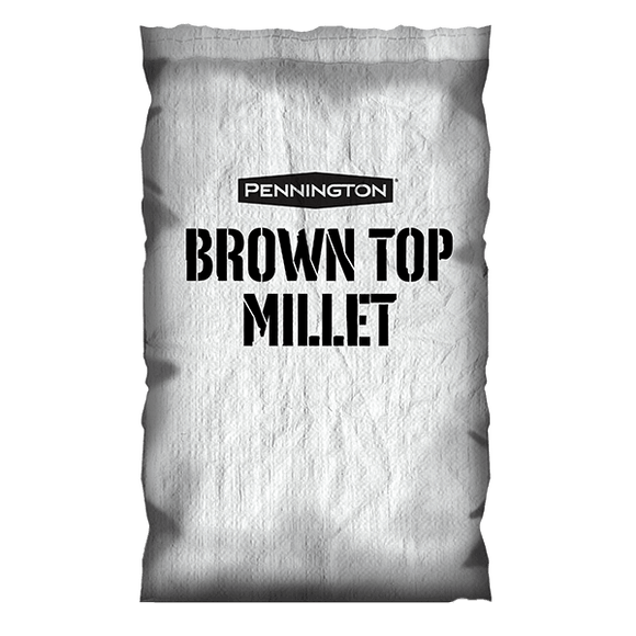 Millet, Brown Top Seed, 50lb