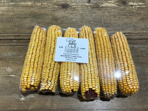 Ear Corn, 6pk