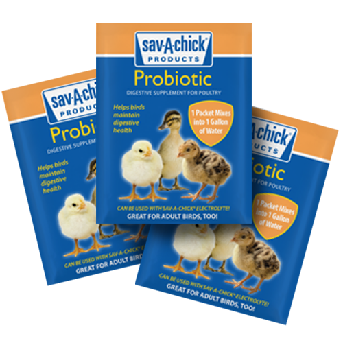 Sav-A-Chick Probiotic