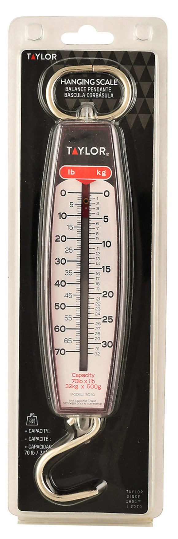 Taylor Hanging Scale