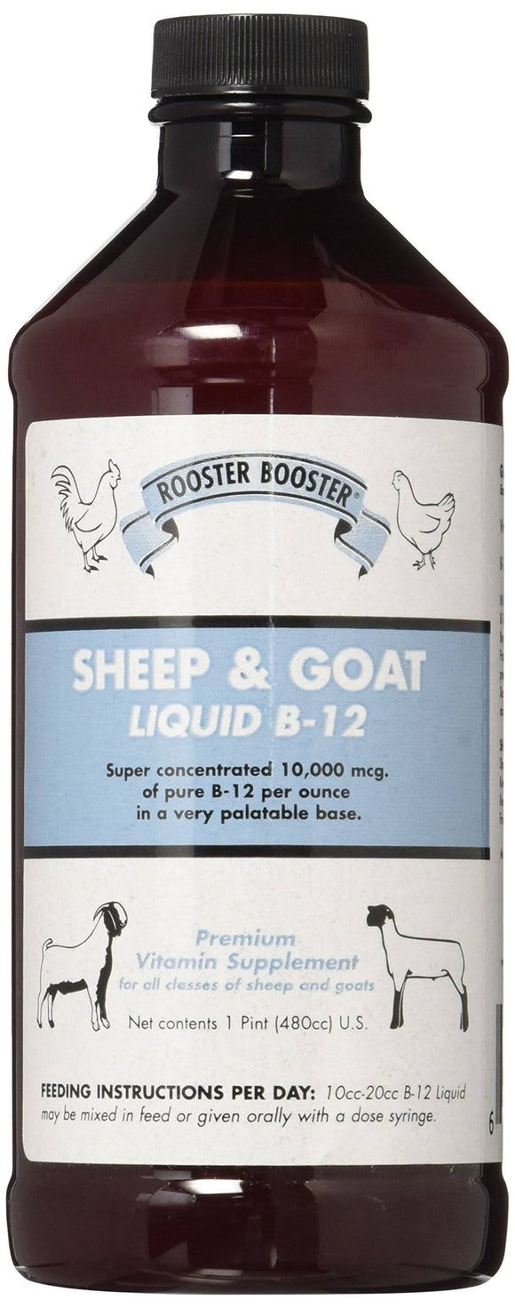 Sheep & Goat Liquid B-12, 1pt