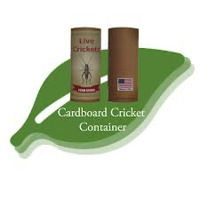 Cricket Tube, Cardboard