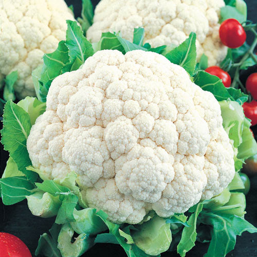 Cauliflower, Snowball Y, 1/16oz packet