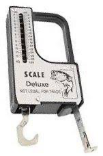 Fish Scale & Tape Measure, 28lb, 38”