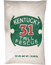 Kentucky Fescue, 50lb