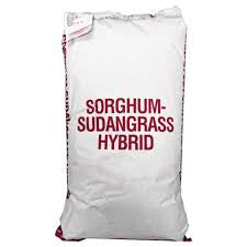 Sugar Grazer, Sudan Sorghum, 50lb