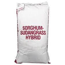 herbicides for sorghum sudangrass Sugar Grazer, Sudan Sorghum, 50lb – G&DFarms