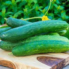 Cucumber, Hybrid Sweet Burpless, 1/8oz packet