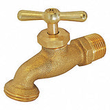 Hose Bibb, Brass