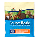 Bounce Back Electrolyte Supplement