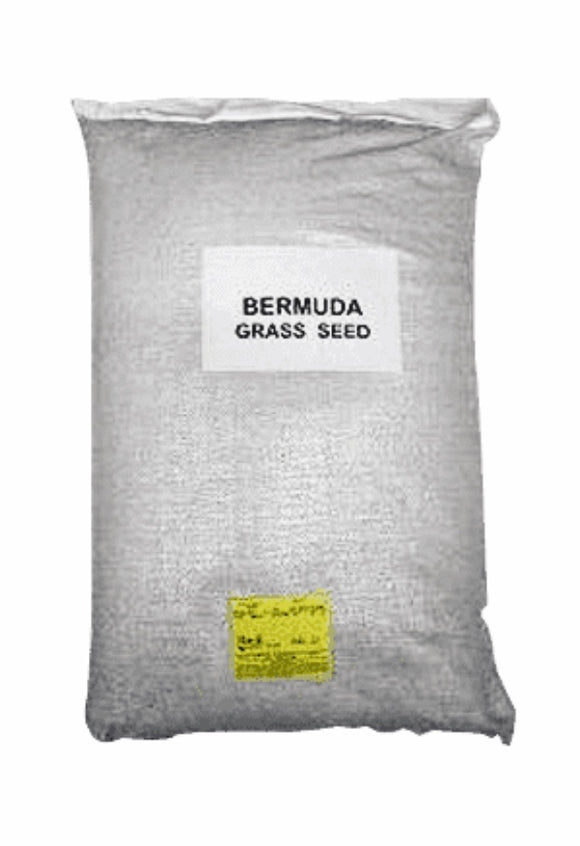 Bermuda Seed, Hulled & Raw