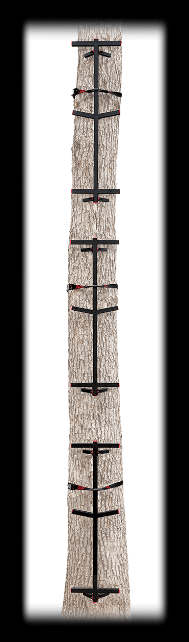 Primal Fast Stick 3-Piece Climbing Ladder