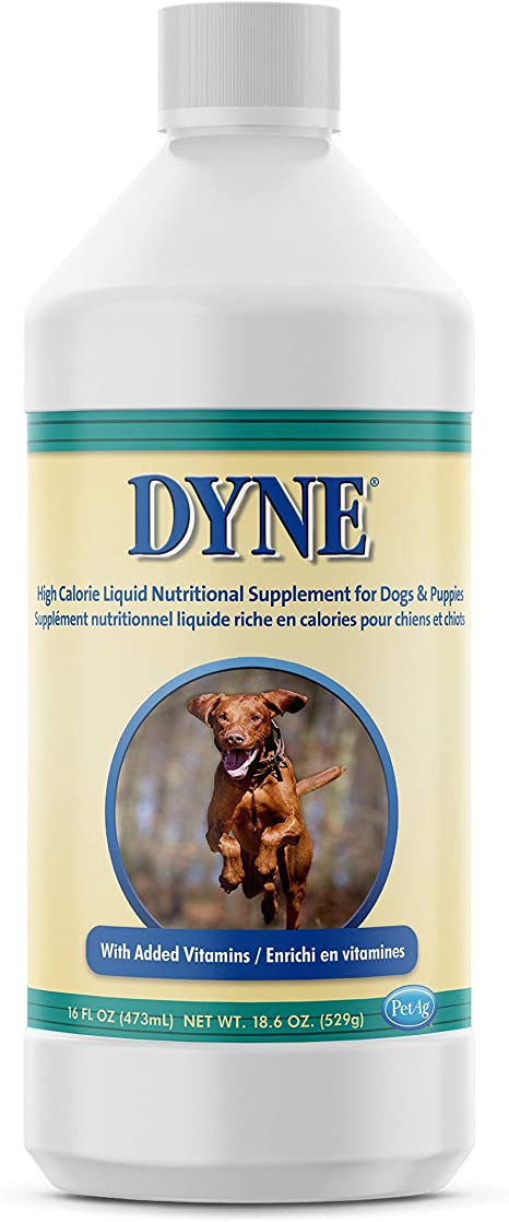 Dyne, Dog Supplement
