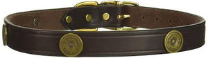 Collar, Leather Shotgun Shell Decorated 1" Wide