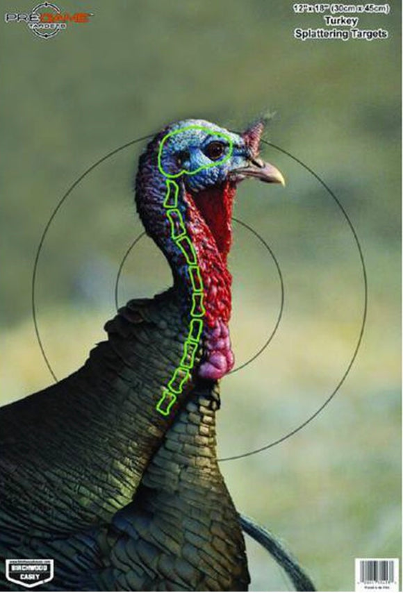 PreGame Turkey Target