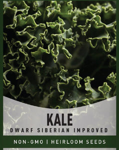 Kale, Dwarf Siberian Improved