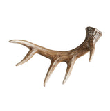 Deer Horn Table Decor