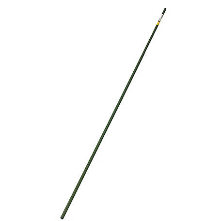 Sturdy Stakes, 6’  Gardener’s Blue Ribbon