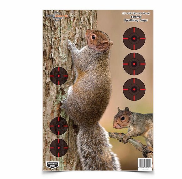 PreGame Squirrel Splattering Target, 8pk