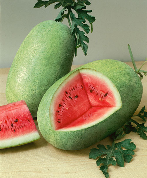 Watermelon, Charleston Grey