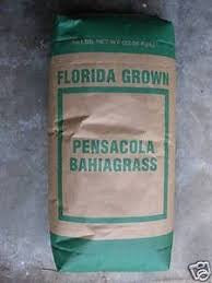Bahia Seed, Pensacola (Raw)