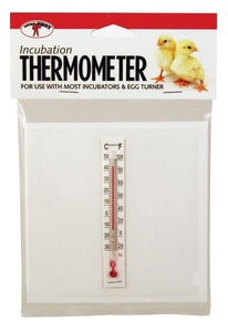 Little Giant Thermometer Incubation